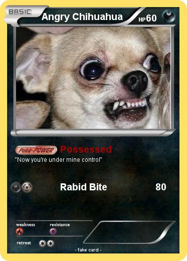 Pokemon Angry Chihuahua