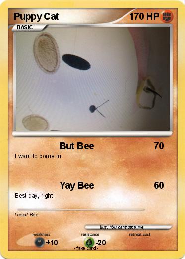 Pokemon Puppy Cat