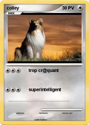 Pokemon colley