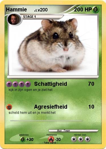 Pokemon Hammie     .