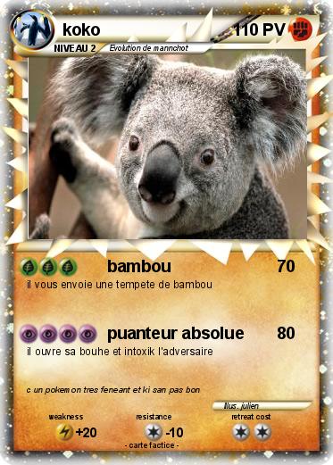 Pokemon koko