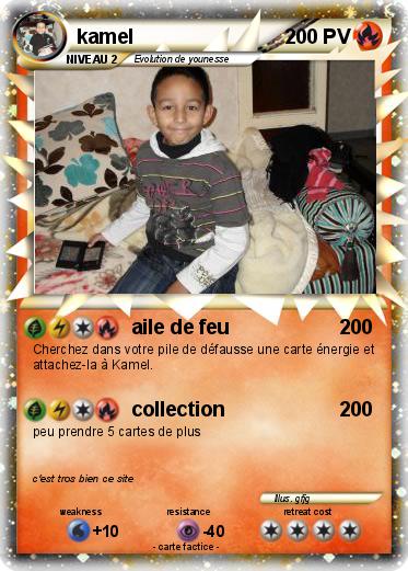 Pokemon kamel