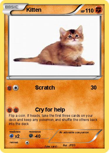 Pokemon Kitten