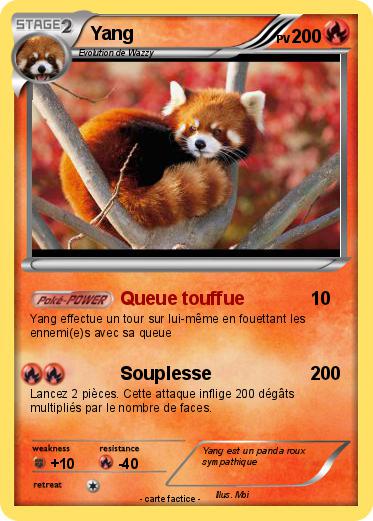 Pokemon Yang
