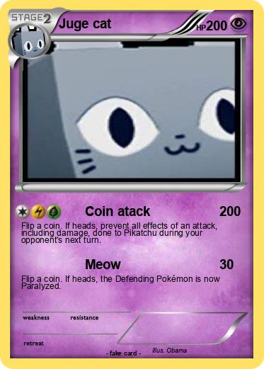 Pokemon Juge cat