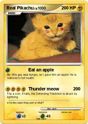 Pokemon Real Pikachu