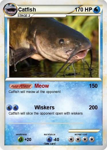 Pokemon Catfish