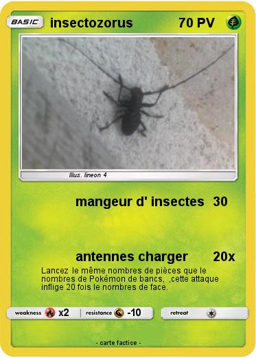 Pokemon insectozorus