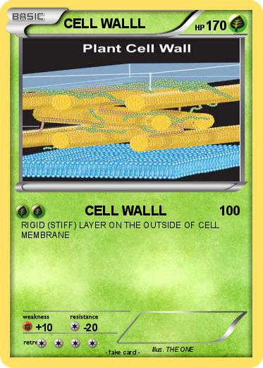 Pokemon CELL WALLL