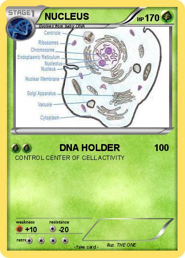 Pokemon NUCLEUS