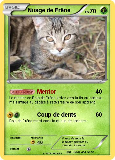 Pokemon Nuage de Frêne