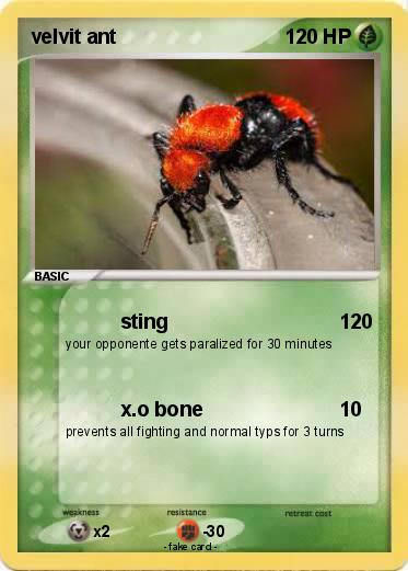 Pokemon velvit ant