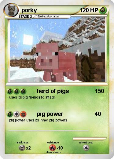Pokemon porky