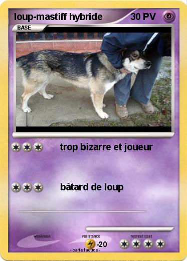 Pokemon loup-mastiff hybride