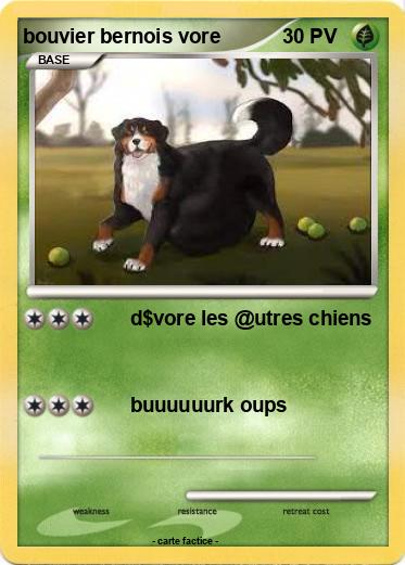 Pokemon bouvier bernois vore