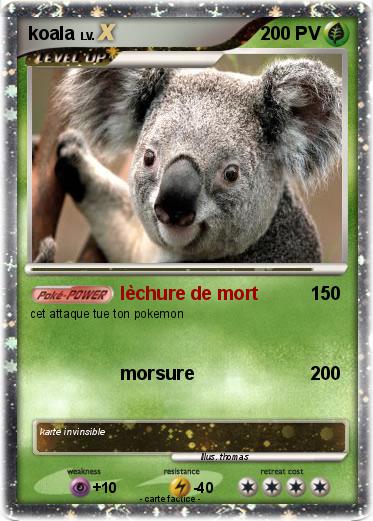 Pokemon koala