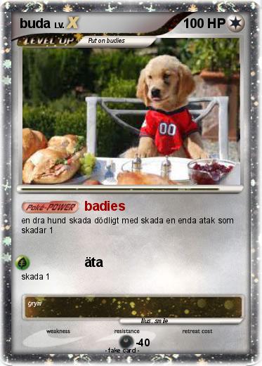 Pokemon buda