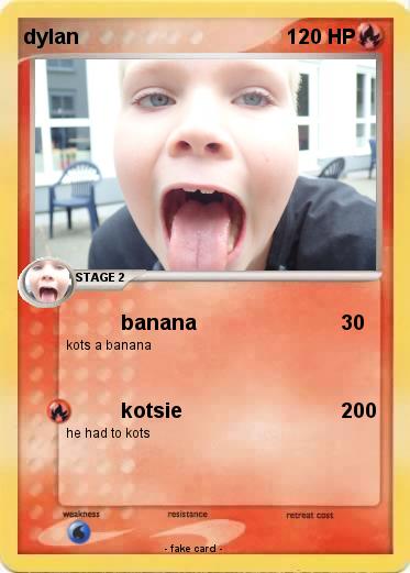 Pokemon dylan