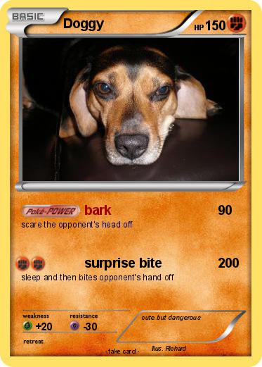 Pokemon Doggy