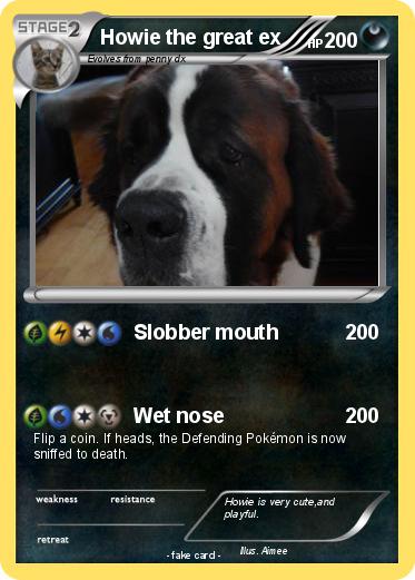 Pokemon Howie the great ex