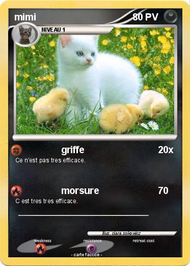 Pokemon mimi