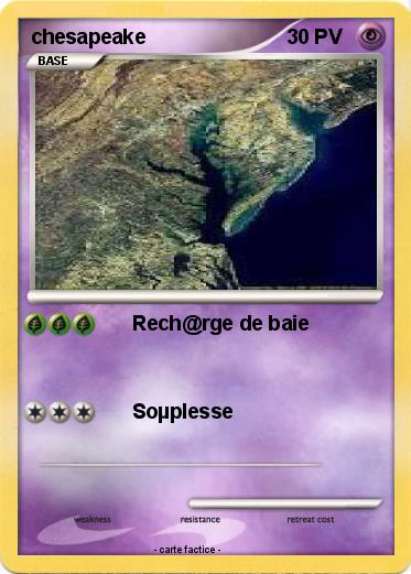 Pokemon chesapeake