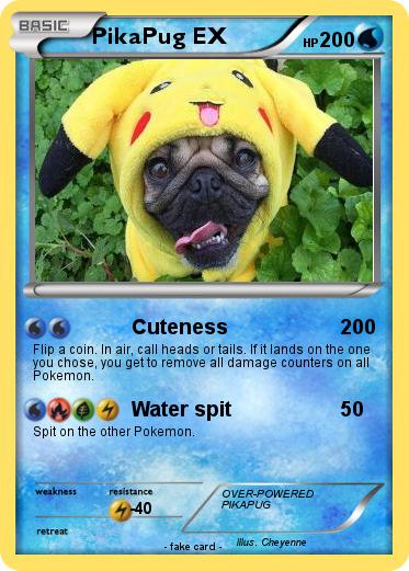 Pokemon PikaPug EX