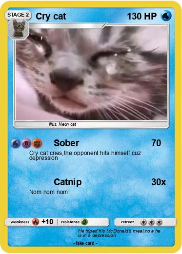 Pokemon Cry cat