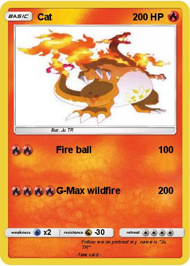 Pokemon Cat