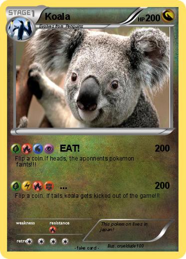 Pokemon Koala