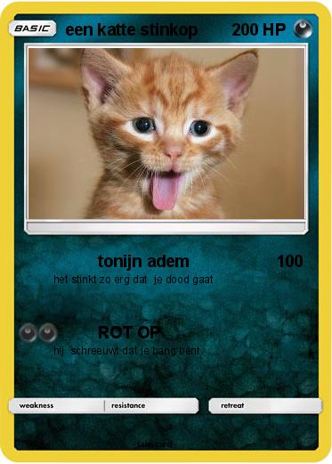 Pokemon een katte stinkop
