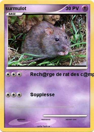Pokemon surmulot