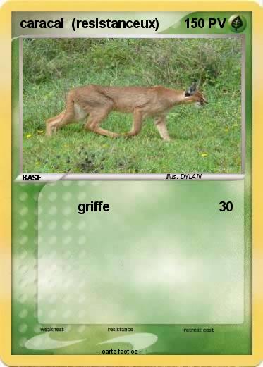 Pokemon caracal  (resistanceux)