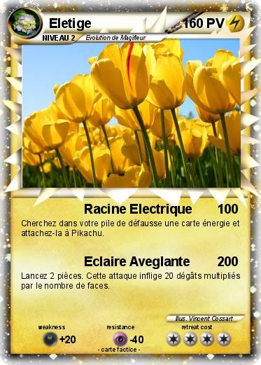 Pokemon Eletige