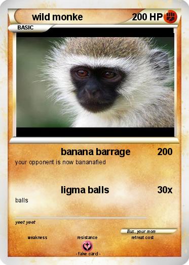 Pokemon wild monke