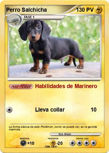 Pokemon Perro Salchicha
