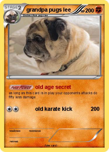 Pokemon grandpa pugs lee