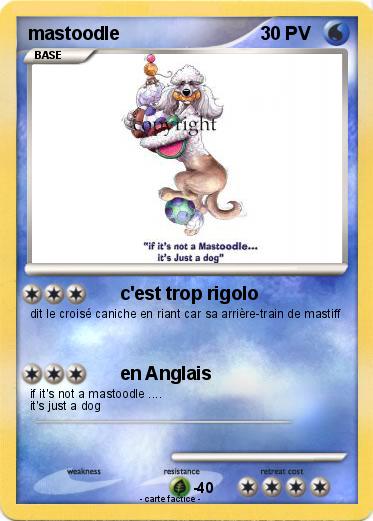 Pokemon mastoodle