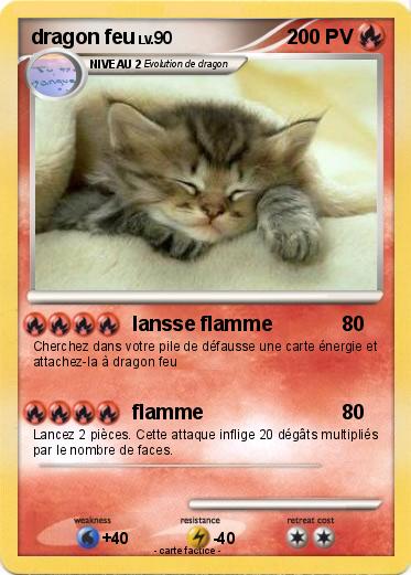 Pokemon dragon feu