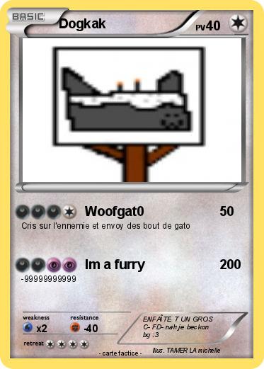 Pokemon Dogkak