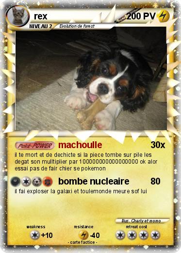 Pokemon rex
