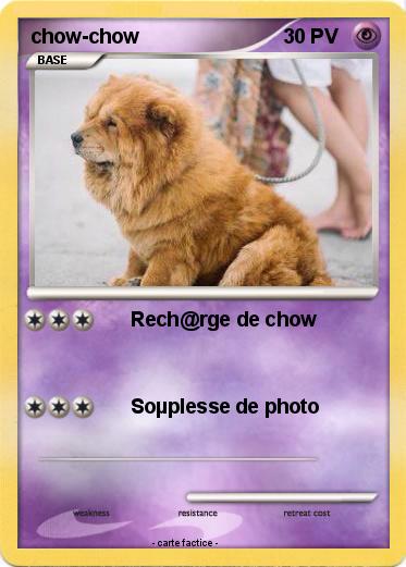 Pokemon chow-chow