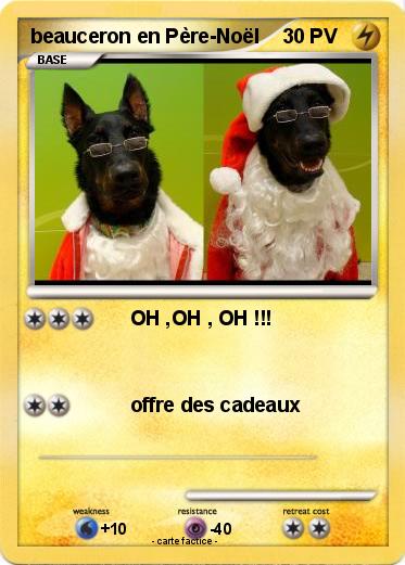 Pokemon beauceron en Père-Noël