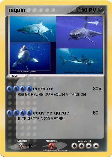 Pokemon requin