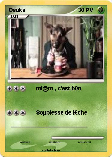 Pokemon Osuke