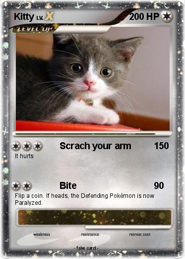 Pokemon Kitty