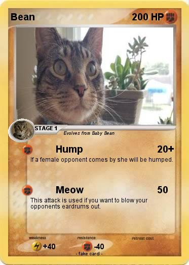 Pokemon Bean