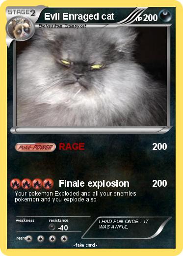 Pokemon Evil Enraged cat
