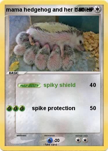 Pokemon mama hedgehog and her babies