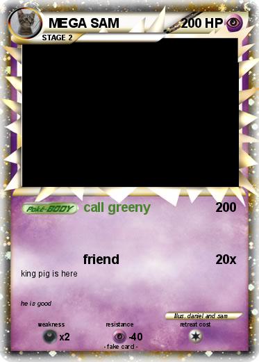 Pokemon MEGA SAM